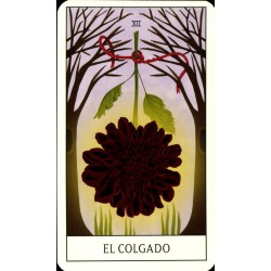 Tarot Floral (ES) - Diana McMahon Collis - Librero